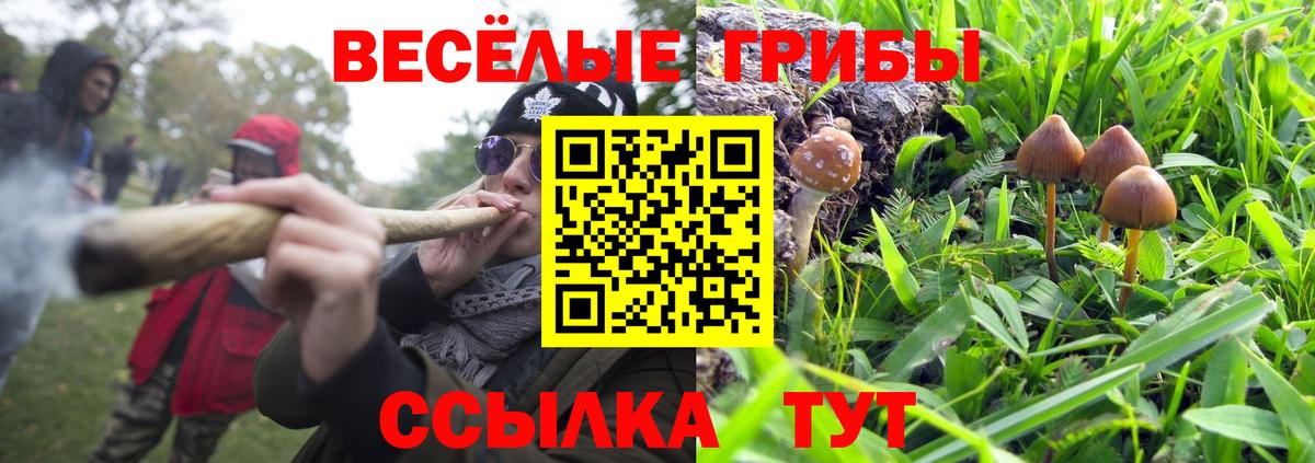 Лениногорск  Галлюциногенные грибы MAGIC MUSHROOMS  Галлюциногенные грибы MAGIC MUSHROOMS  Вход с VPN 