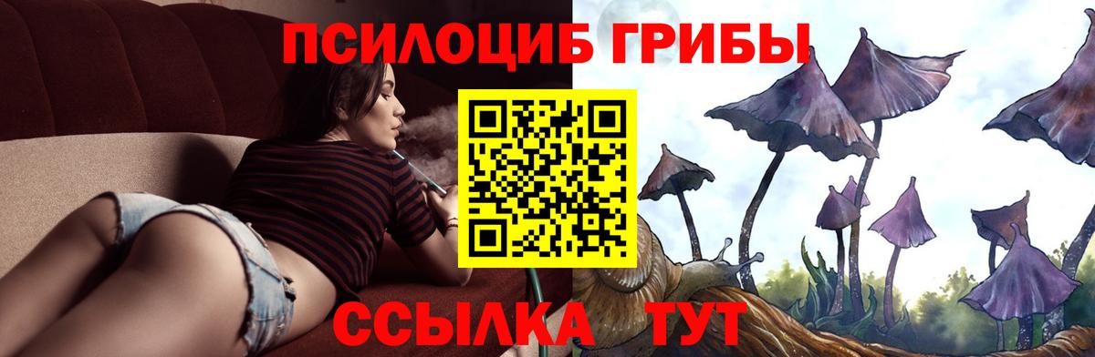 Псилоцибиновые грибы ЛСД Лениногорск